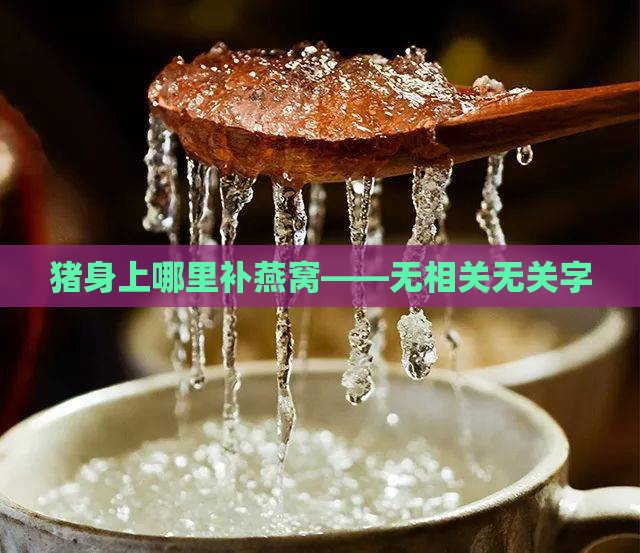 猪身上哪里补燕窝——无相关无关字