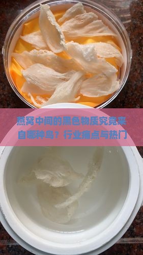 燕窝中间的黑色物质究竟来自哪种鸟？行业痛点与热门疑问！