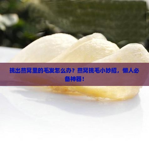 挑出燕窝里的毛发怎么办？燕窝挑毛小妙招，懒人必备神器！