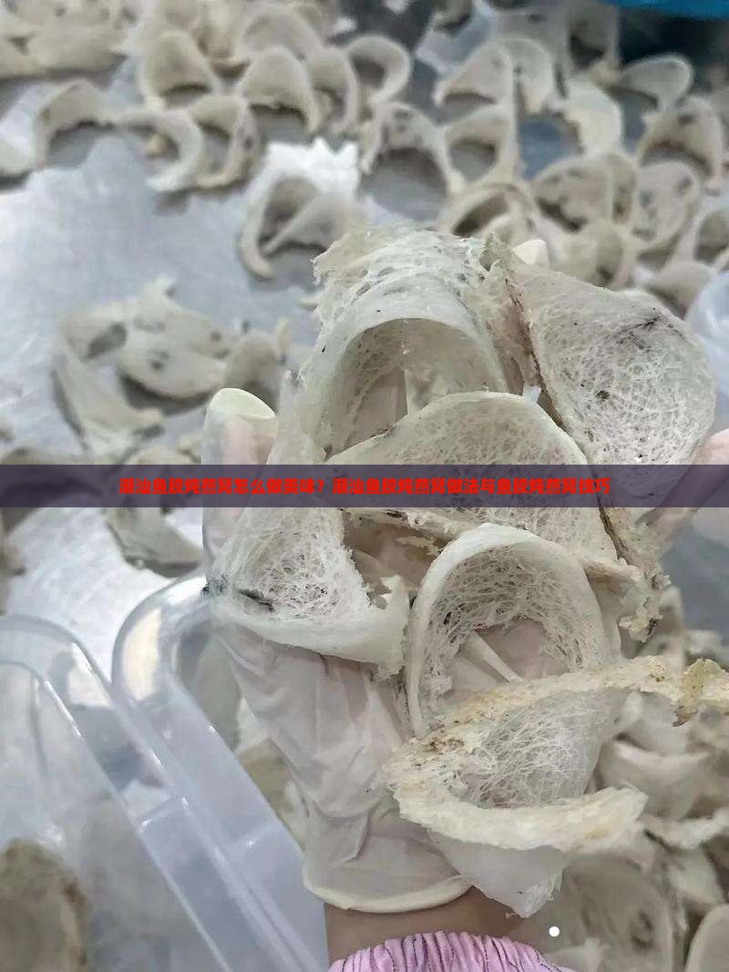 潮汕鱼胶炖燕窝怎么做美味？潮汕鱼胶炖燕窝做法与鱼胶炖燕窝技巧
