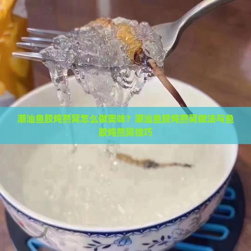 潮汕鱼胶炖燕窝怎么做美味？潮汕鱼胶炖燕窝做法与鱼胶炖燕窝技巧