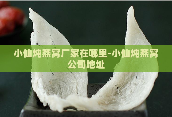 小仙炖燕窝厂家在哪里-小仙炖燕窝公司地址