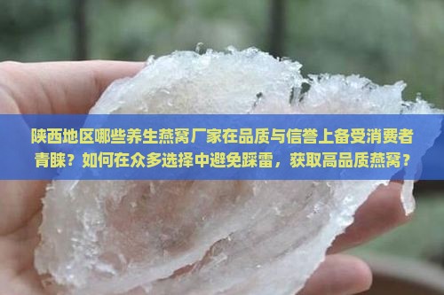 陕西地区哪些养生燕窝厂家在品质与信誉上备受消费者青睐？如何在众多选择中避免踩雷，获取高品质燕窝？