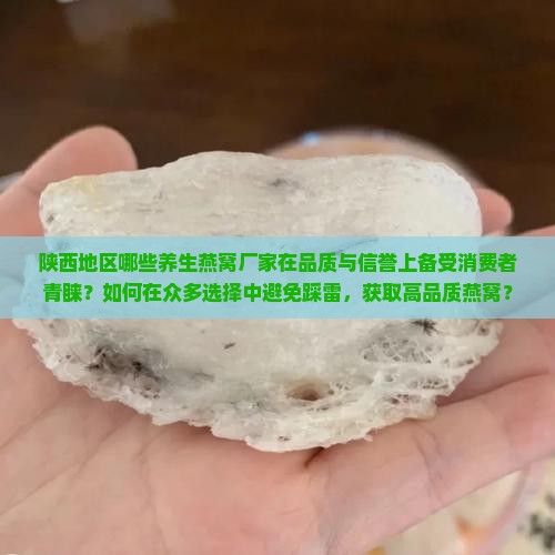 陕西地区哪些养生燕窝厂家在品质与信誉上备受消费者青睐？如何在众多选择中避免踩雷，获取高品质燕窝？