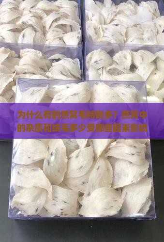 为什么有的燕窝毛特别多？燕窝中的杂质和绒毛多少受哪些因素影响？