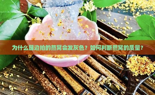 为什么窗边拍的燕窝会发灰色？如何判断燕窝的质量？