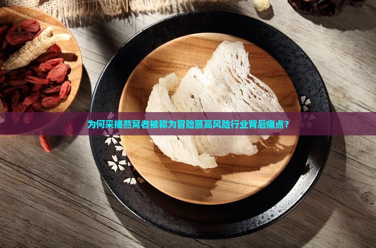 为何采摘燕窝者被称为冒险蘸高风险行业背后痛点？