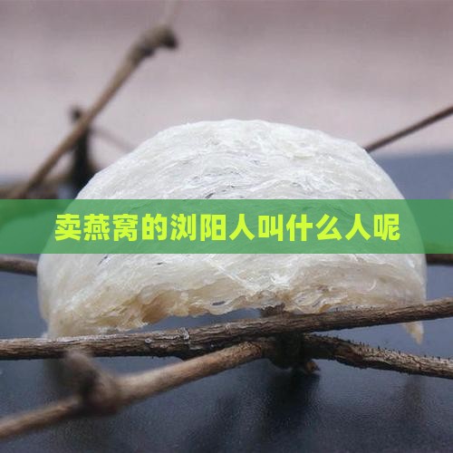 卖燕窝的浏阳人叫什么人呢