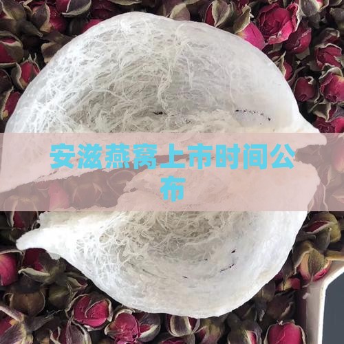 安滋燕窝上市时间公布