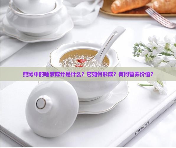 燕窝中的唾液成分是什么？它如何形成？有何营养价值？