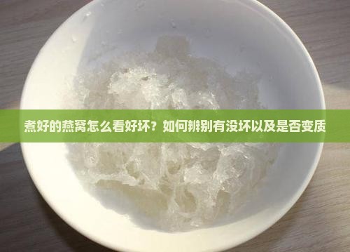 煮好的燕窝怎么看好坏？如何辨别有没坏以及是否变质