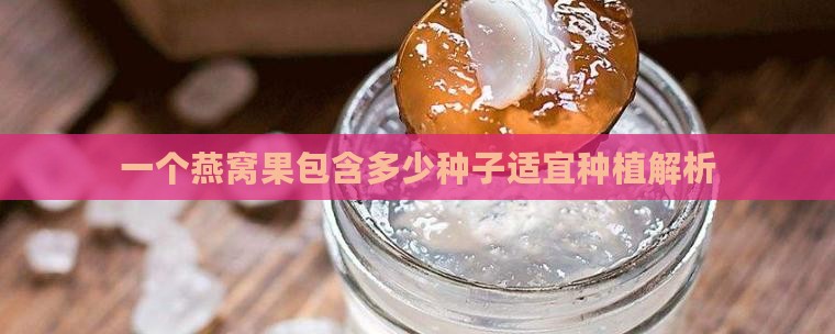 一个燕窝果包含多少种子适宜种植解析