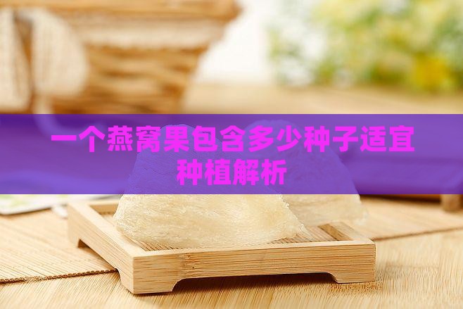 一个燕窝果包含多少种子适宜种植解析