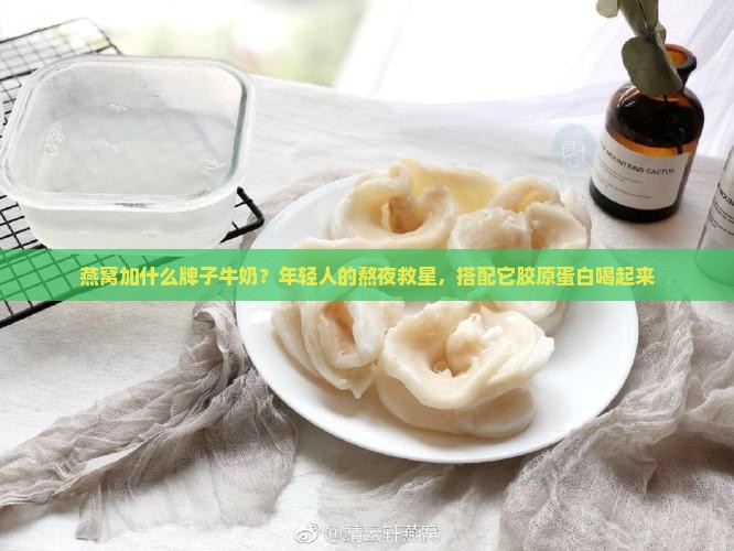 燕窝加什么牌子牛奶？年轻人的熬夜救星，搭配它胶原蛋白喝起来