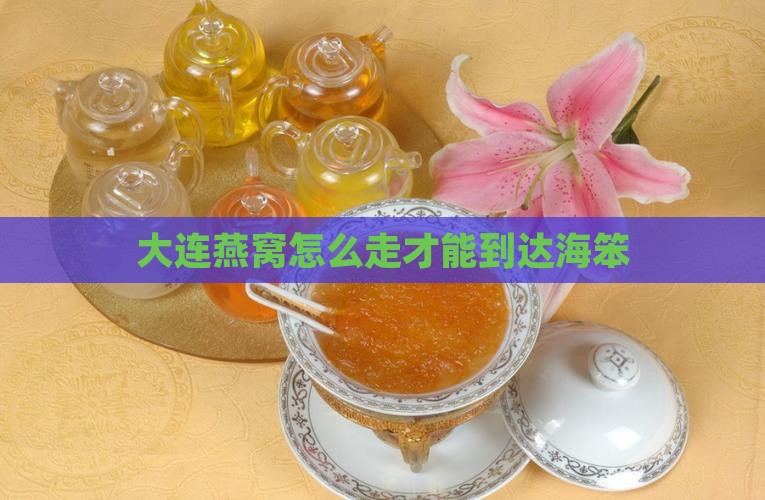 大连燕窝怎么走才能到达海笨