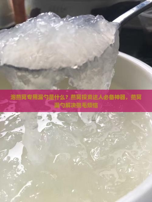 泡燕窝专用漏勺是什么？燕窝投资达人必备神器，燕窝漏勺解决挑毛烦恼