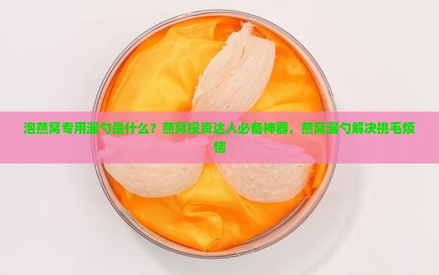 泡燕窝专用漏勺是什么？燕窝投资达人必备神器，燕窝漏勺解决挑毛烦恼