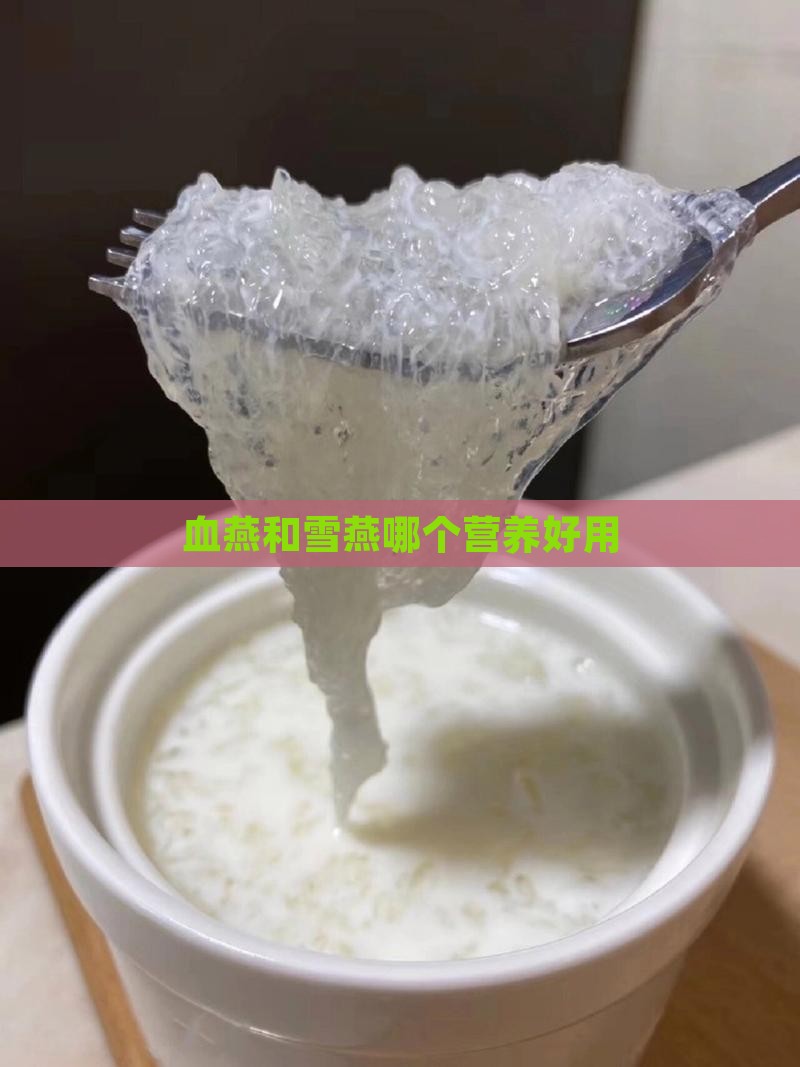 血燕和雪燕哪个营养好用
