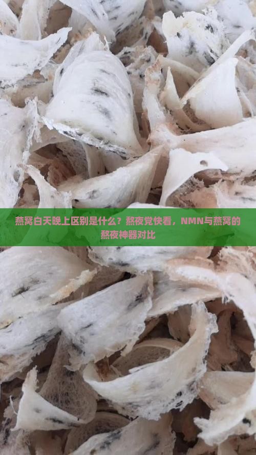 燕窝白天晚上区别是什么？熬夜党快看，NMN与燕窝的熬夜神器对比
