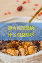 适合炖燕窝的什么陶瓷隔水炖锅推荐，美食菜谱中的燕窝炖锅使用指南