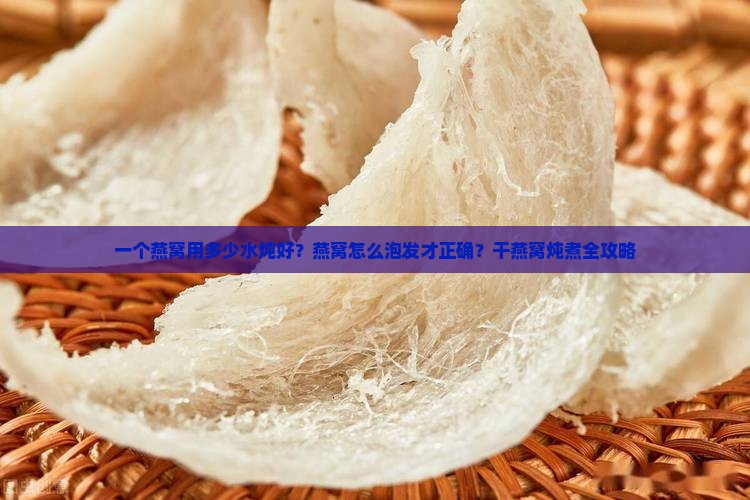 一个燕窝用多少水炖好？燕窝怎么泡发才正确？干燕窝炖煮全攻略