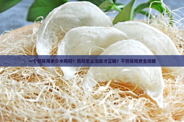 一个燕窝用多少水炖好？燕窝怎么泡发才正确？干燕窝炖煮全攻略