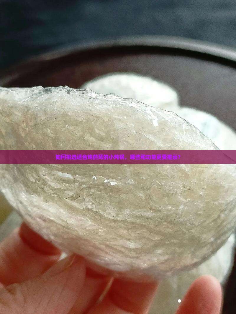 如何挑选适合炖燕窝的小炖锅，哪些和功能更受推崇？