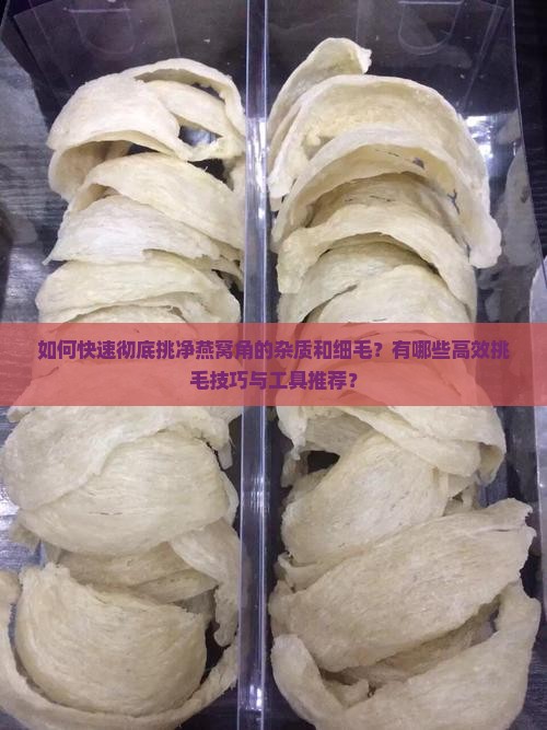 如何快速彻底挑净燕窝角的杂质和细毛？有哪些高效挑毛技巧与工具推荐？