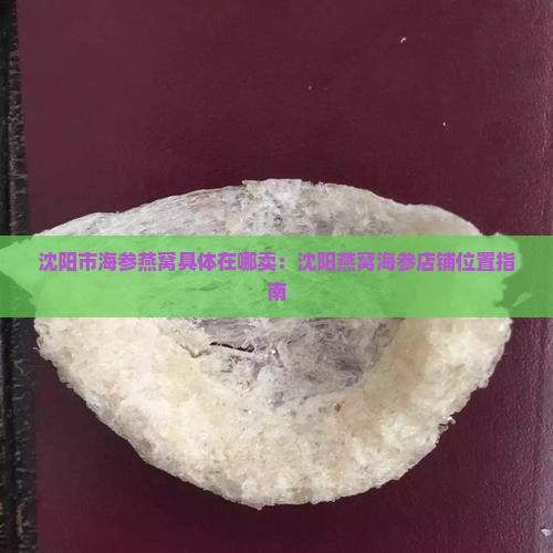 沈阳市海参燕窝具体在哪卖：沈阳燕窝海参店铺位置指南