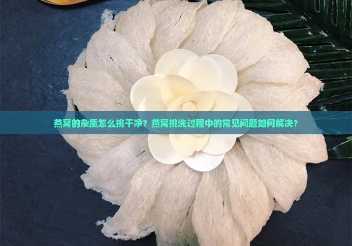 燕窝的杂质怎么挑干净？燕窝挑洗过程中的常见问题如何解决？