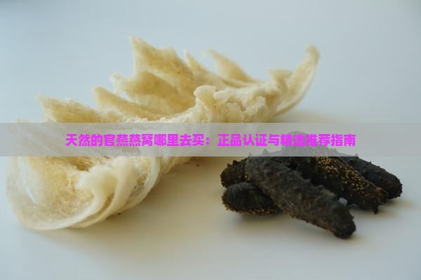 天然的官燕燕窝哪里去买：正品认证与精选推荐指南