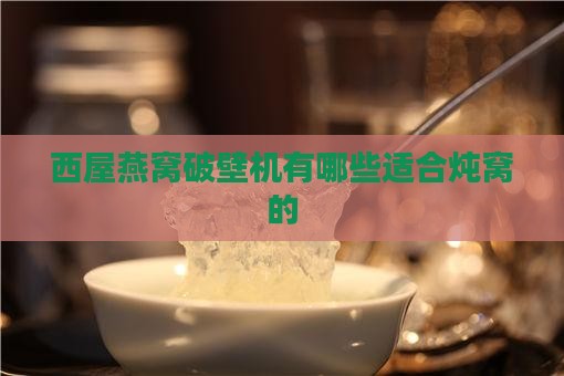 西屋燕窝破壁机有哪些适合炖窝的