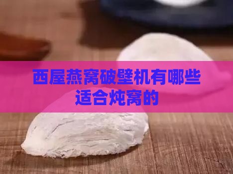 西屋燕窝破壁机有哪些适合炖窝的