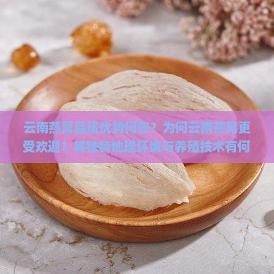 云南燕窝品质优势何在？为何云南燕窝更受欢迎？其独特地理环境与养殖技术有何影响？