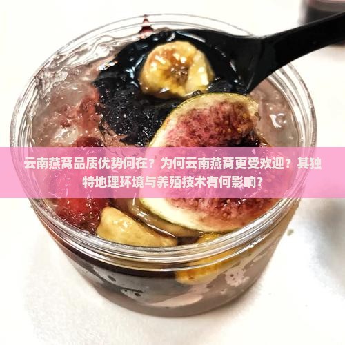 云南燕窝品质优势何在？为何云南燕窝更受欢迎？其独特地理环境与养殖技术有何影响？