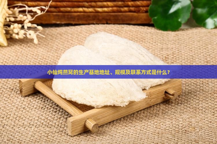 小仙炖燕窝的生产基地地址、规模及联系方式是什么？