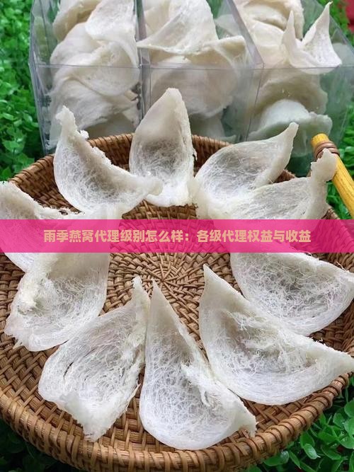 雨季燕窝代理级别怎么样：各级代理权益与收益