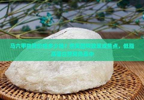 马六甲燕窝价格多少钱？燕窝回购政策成焦点，低脂高蛋白燕窝热卖中