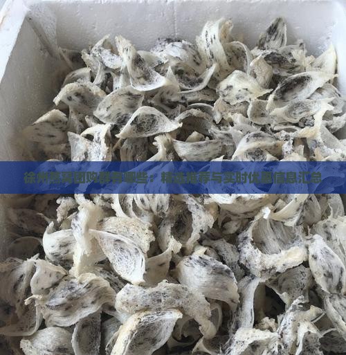 徐州燕窝团购群有哪些：精选推荐与实时优惠信息汇总