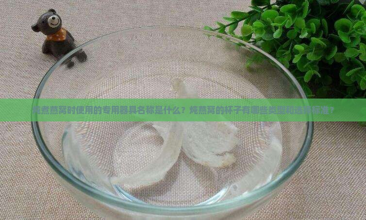 炖煮燕窝时使用的专用器具名称是什么？炖燕窝的杯子有哪些类型和选择标准？