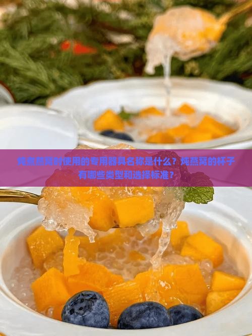 炖煮燕窝时使用的专用器具名称是什么？炖燕窝的杯子有哪些类型和选择标准？