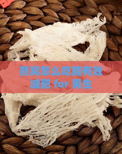 燕窝怎么吃能有效减肥 for 男生