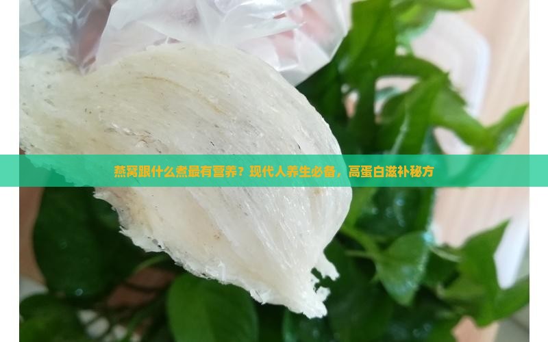 燕窝跟什么煮最有营养？现代人养生必备，高蛋白滋补秘方
