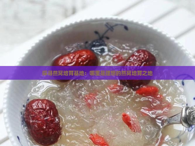 探寻燕窝培育基地：哪里是理想的燕窝培育之地