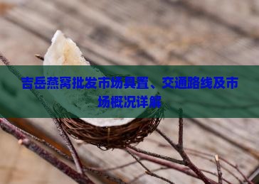 吉岳燕窝批发市场具置、交通路线及市场概况详解