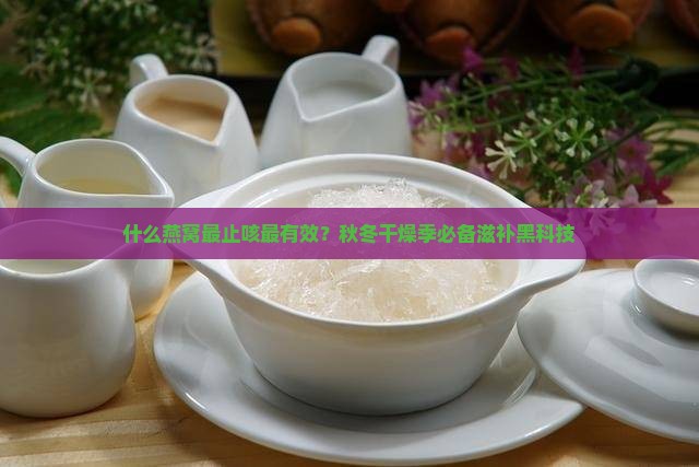 什么燕窝最止咳最有效？秋冬干燥季必备滋补黑科技