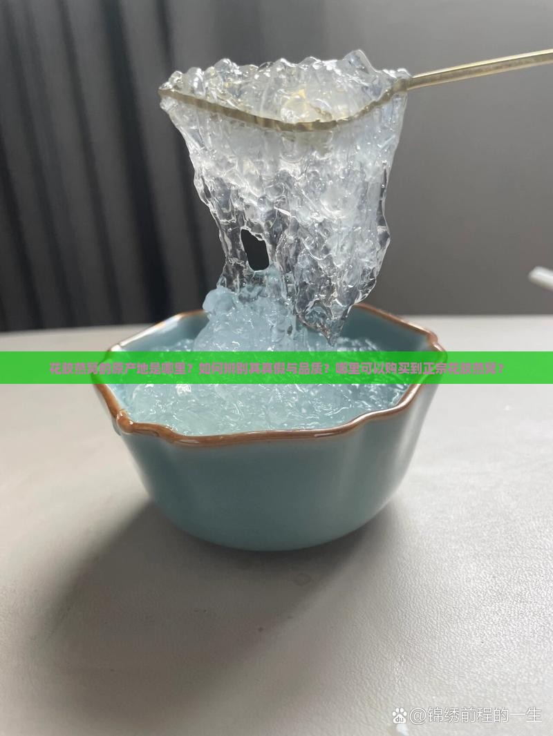 花胶燕窝的原产地是哪里？如何辨别其真假与品质？哪里可以购买到正宗花胶燕窝？