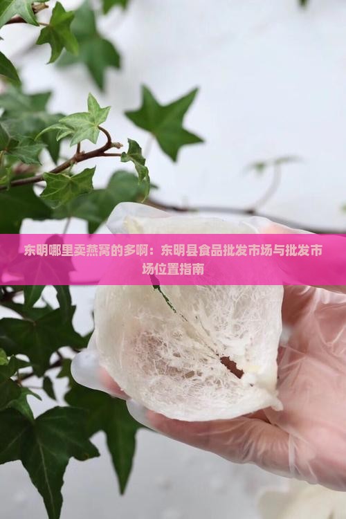 东明哪里卖燕窝的多啊：东明县食品批发市场与批发市场位置指南