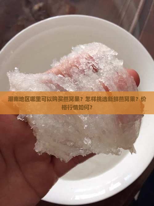 潮南地区哪里可以购买燕窝果？怎样挑选新鲜燕窝果？价格行情如何？