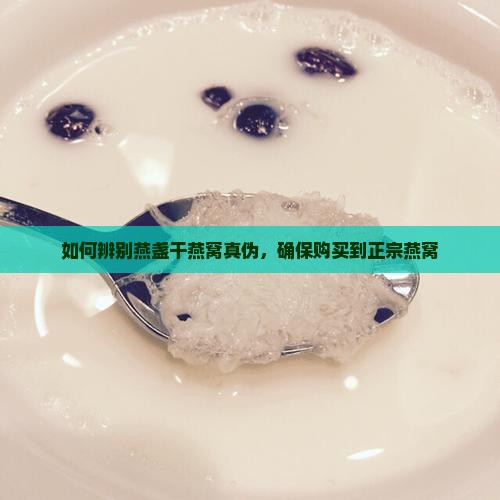 如何辨别燕盏干燕窝真伪，确保购买到正宗燕窝